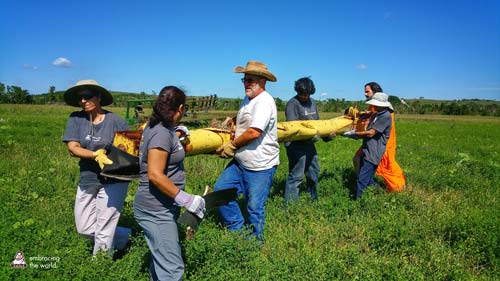 volunteers work together in a field