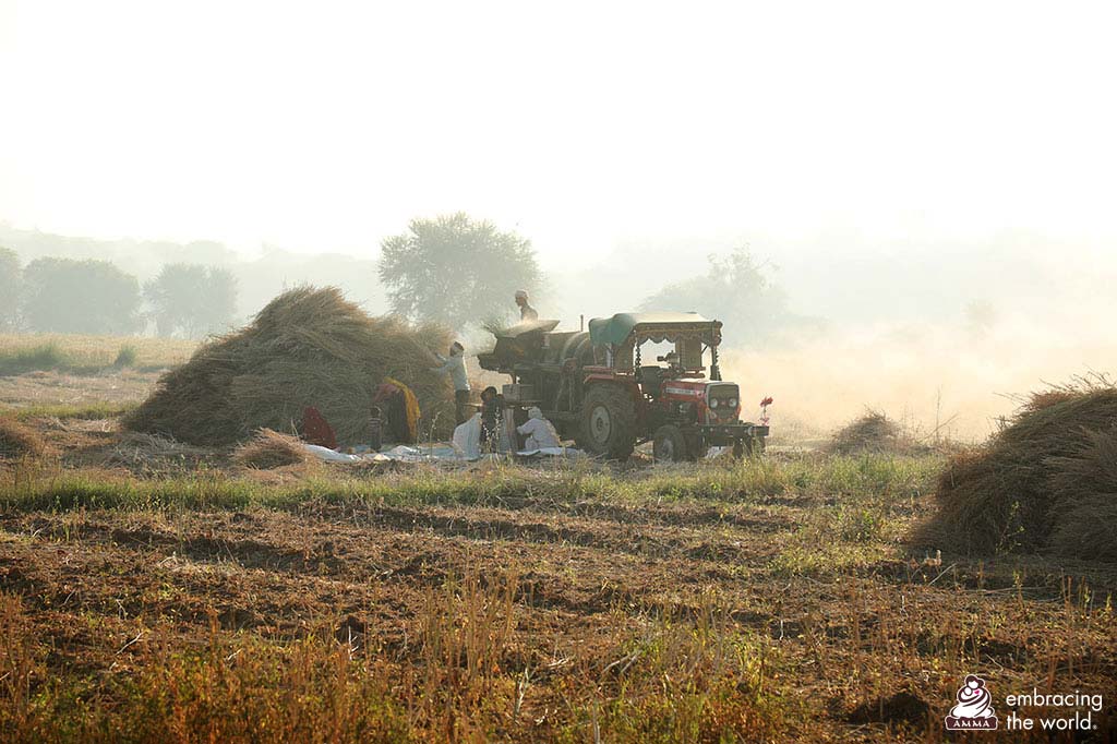 A pile of crops harvested next to a group of farmers and a machine