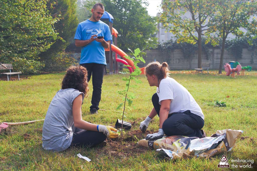 Three volunteers gather around a sapling