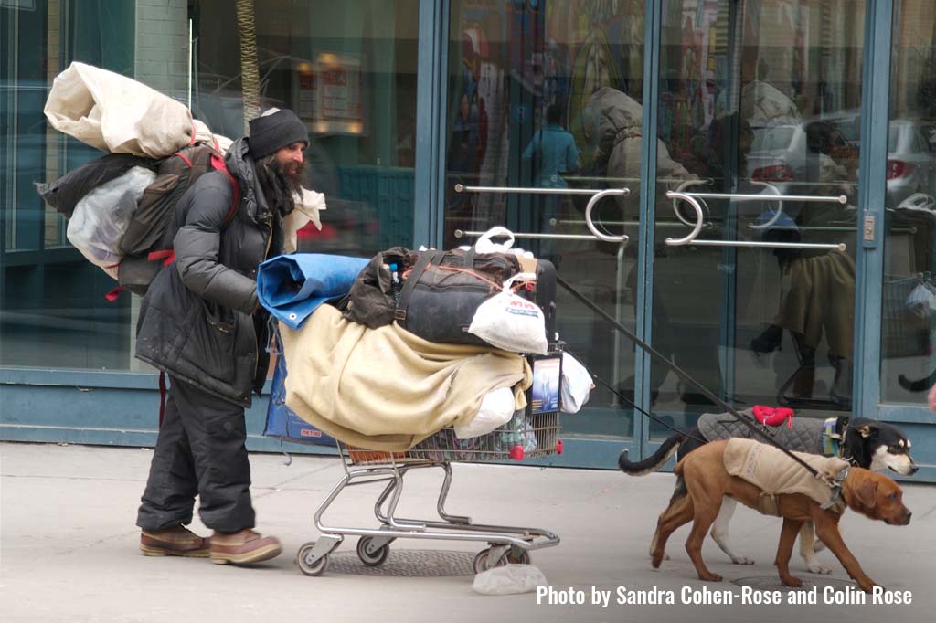 Homeless man with grocery store shopping cart and 2 dogs