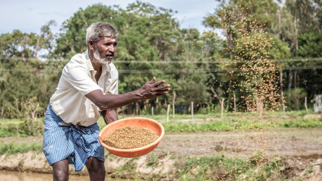 A farmer sows seeds