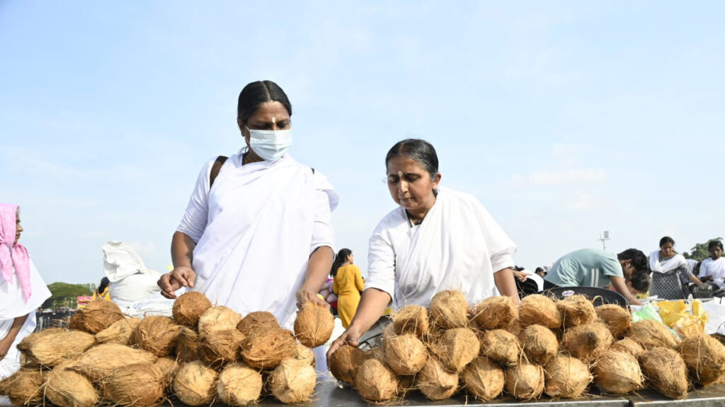 Amritapuri Ashram female monastics sort coconuts