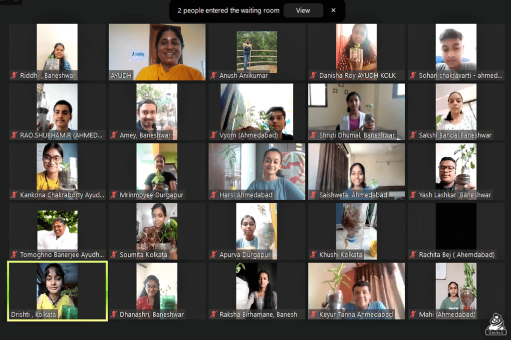 Screenshot of zoom meeting