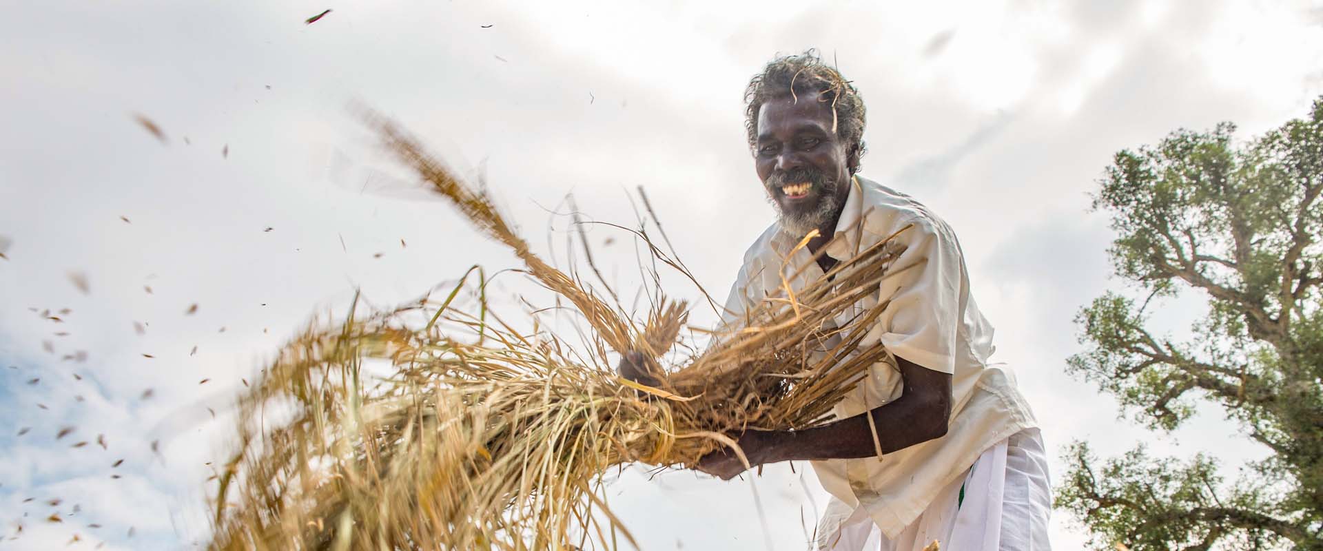a man farming
