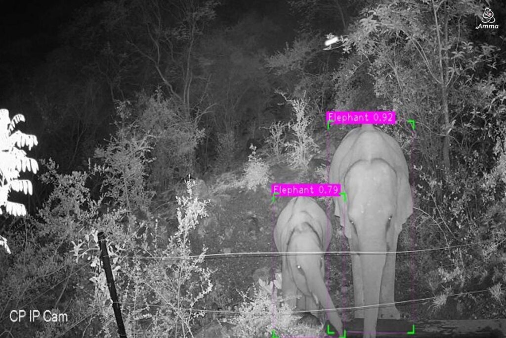 two elephants on the monitoring system at night