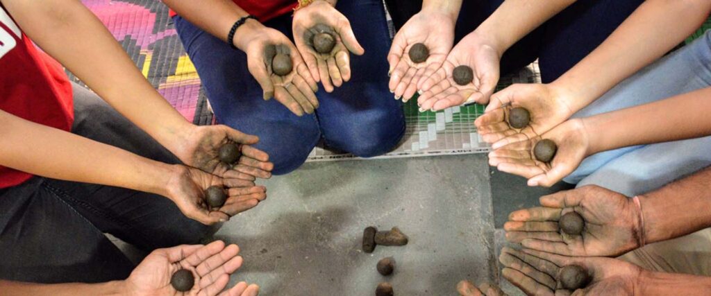 hands holding seedballs