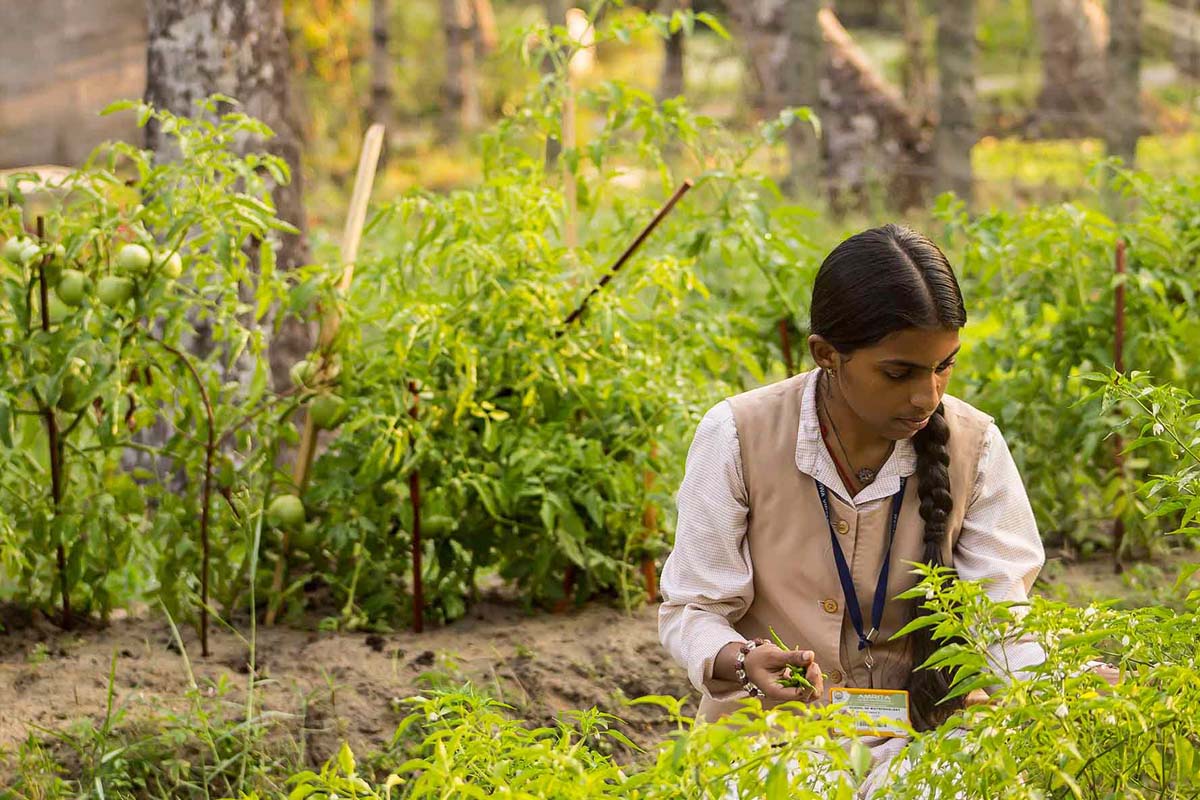 a young woman checks garden plants