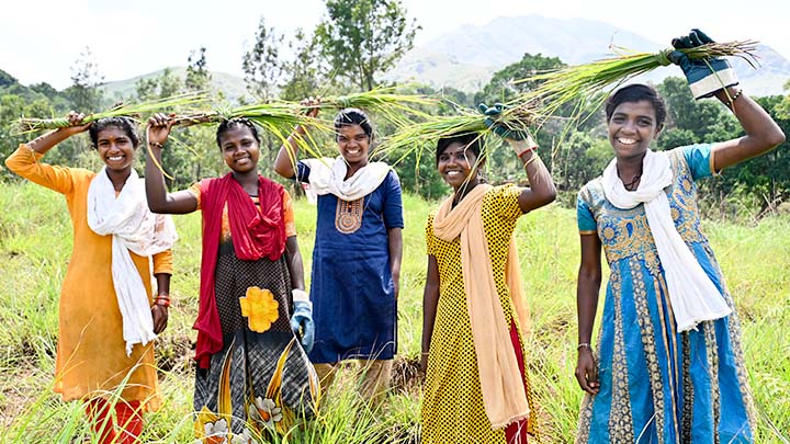 young women holding bundles of lemongrass