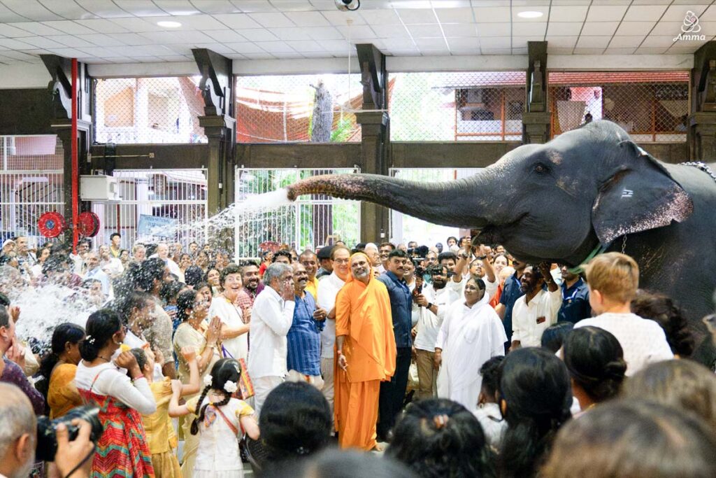 An elephant sprays people