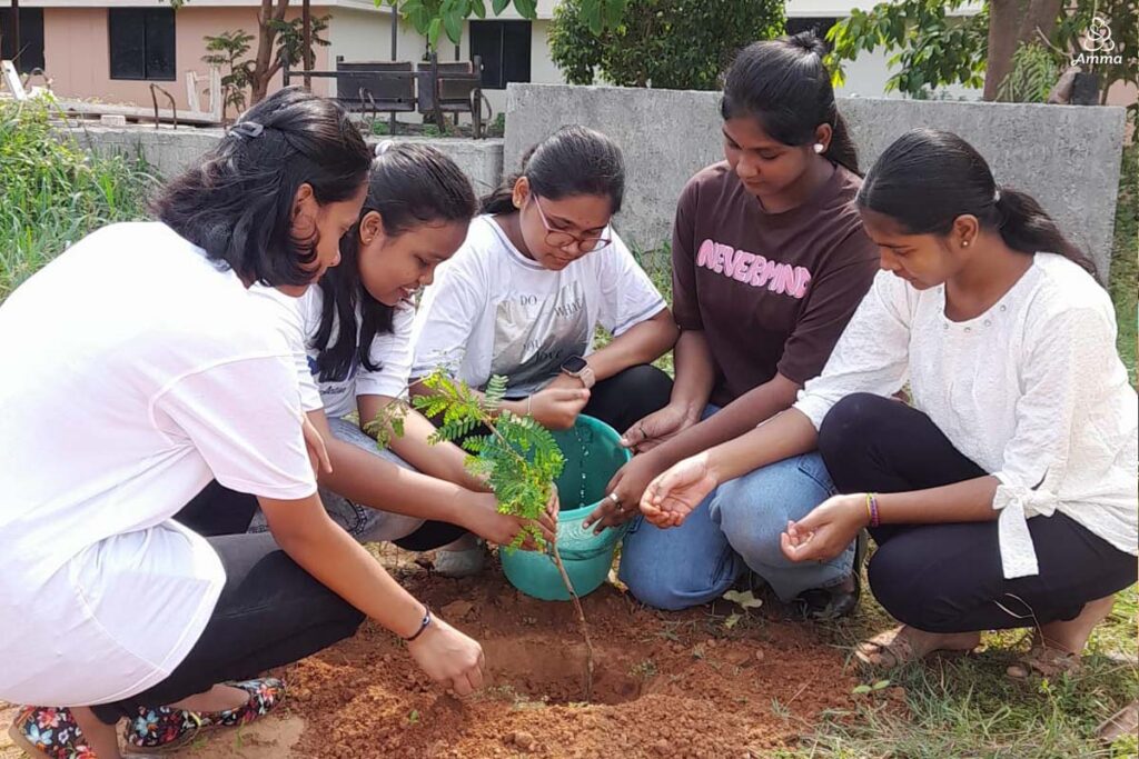 youth plant saplings