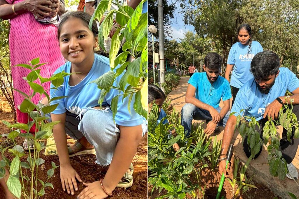 youth plant saplings