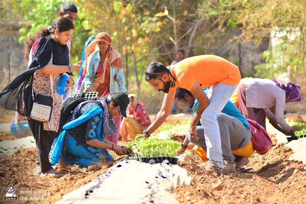 Amrita University students plant saplings