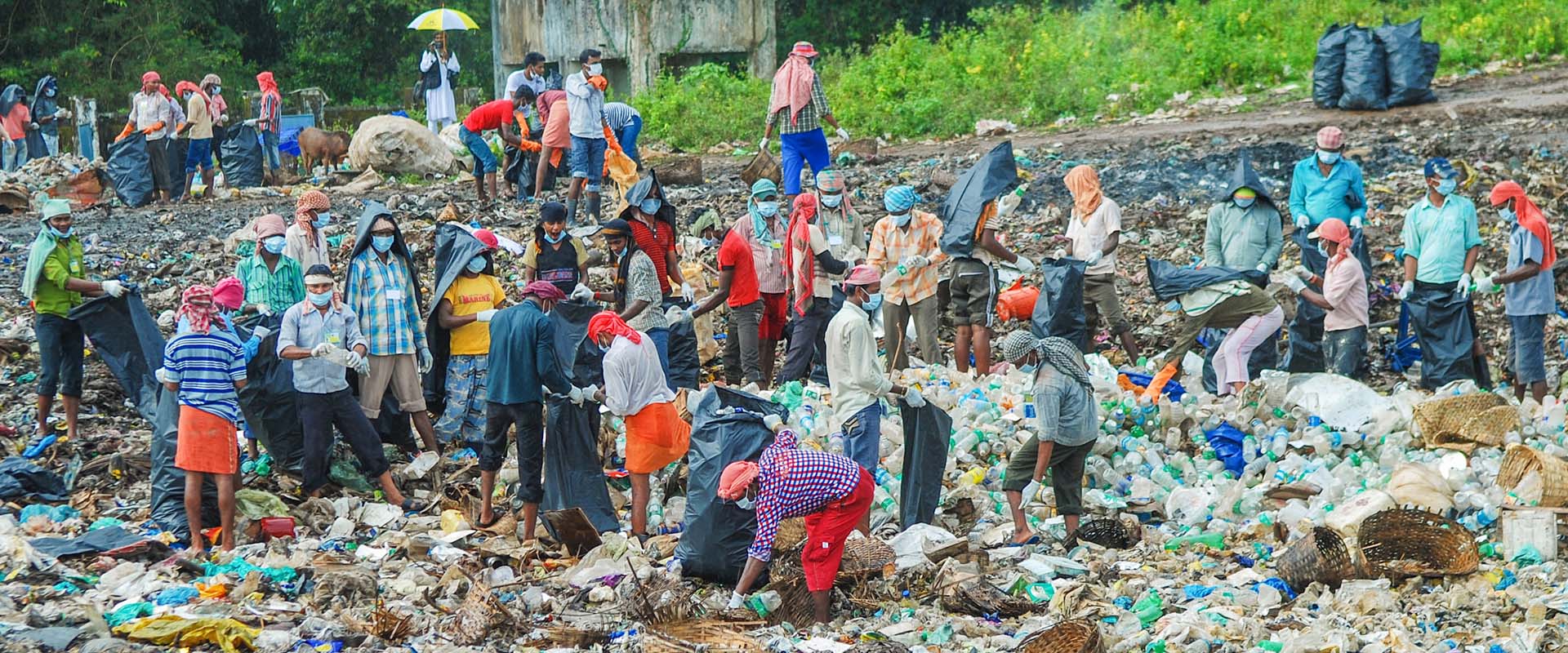 Volunteers collect plastic waste