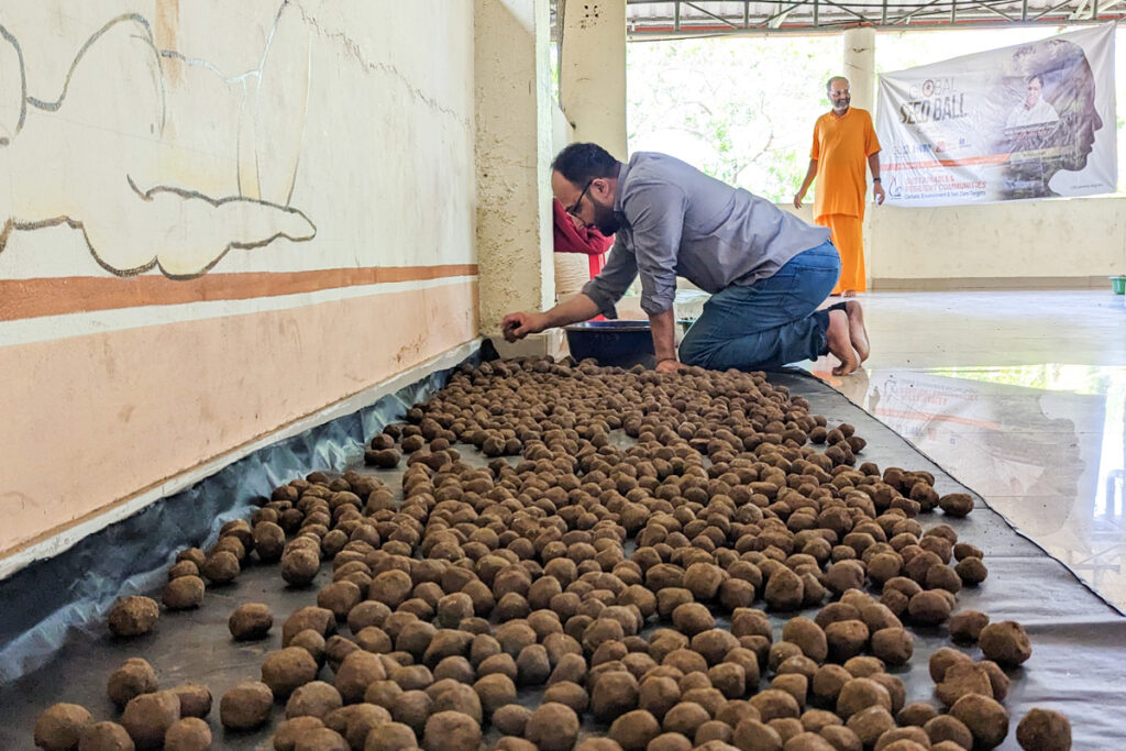 A seedball is made up of soil and seeds, often mixed with clay and other organic materials to hold the ball together.