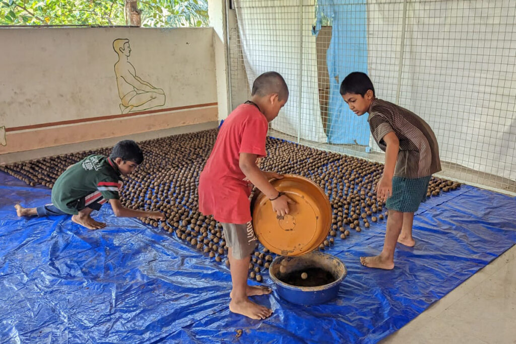 Even children can learn how to sow seeds in a more efficient and environmentally friendly way.