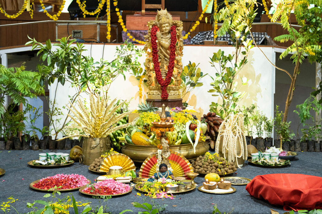 Festivities to celebrate in Amritapuri.