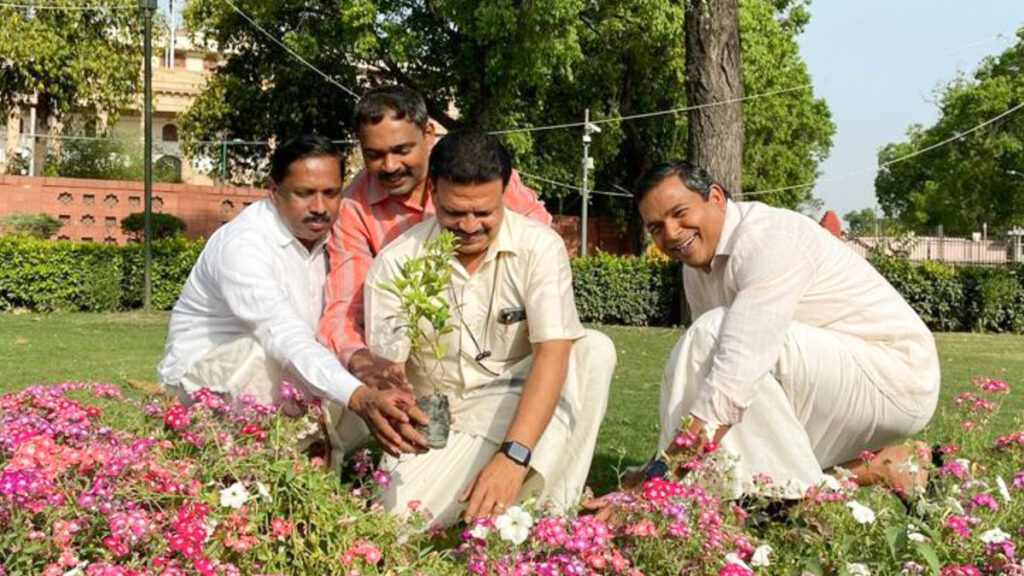 Planting young trees into the earth