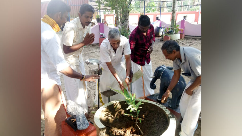 Trees are planted