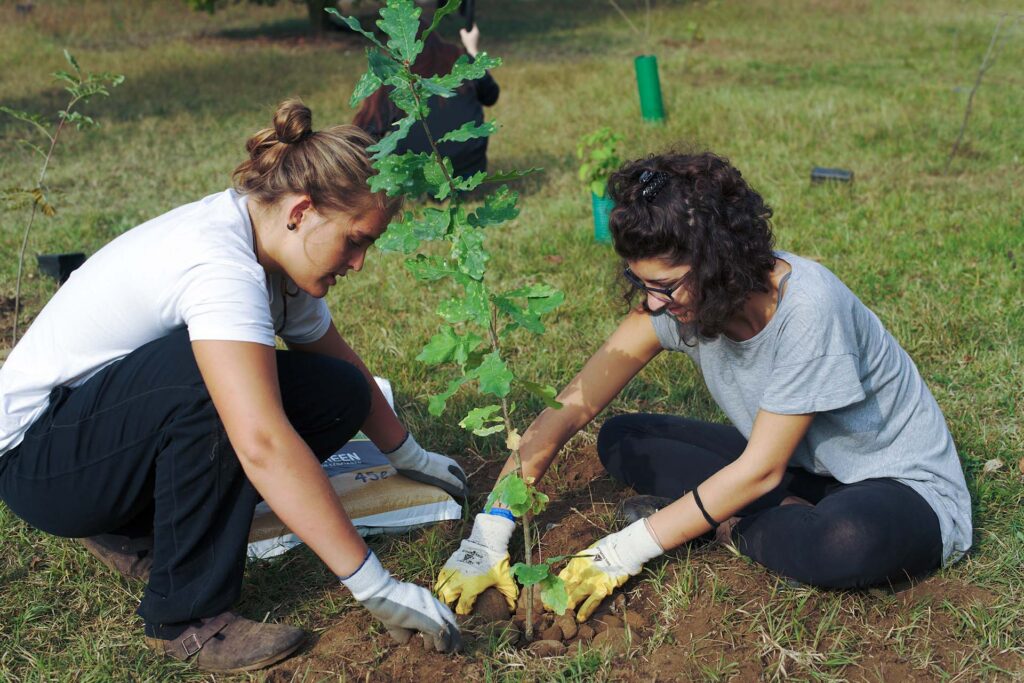 two young women plant a sapling
