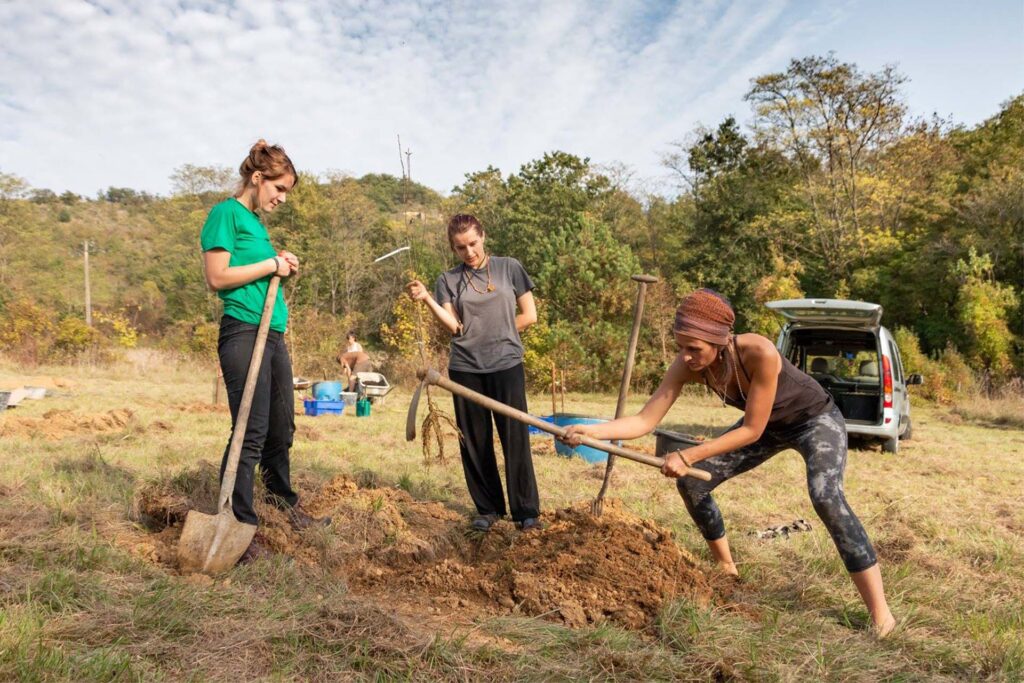 young women plant a sapling in france